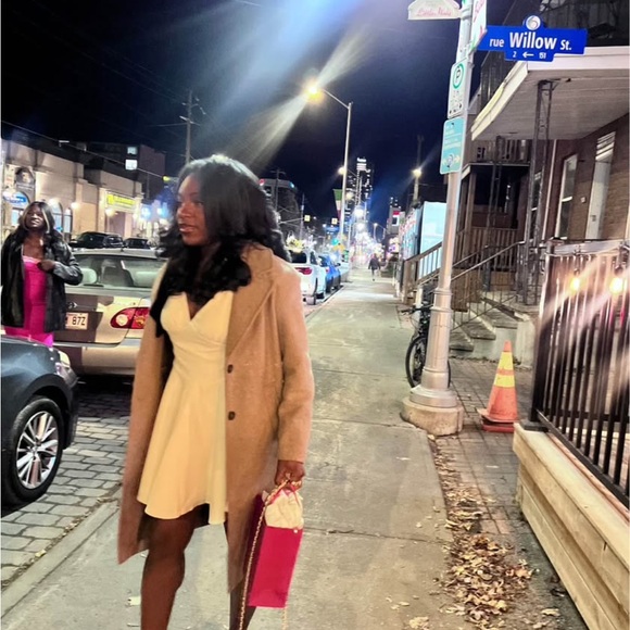 Brand new (work once) dynamite Velvet Bow Ties Mini Dress 
Tag still attached - Picture 5 of 5